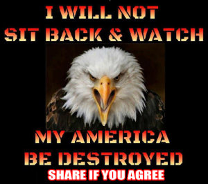 America destroyed (eagle)